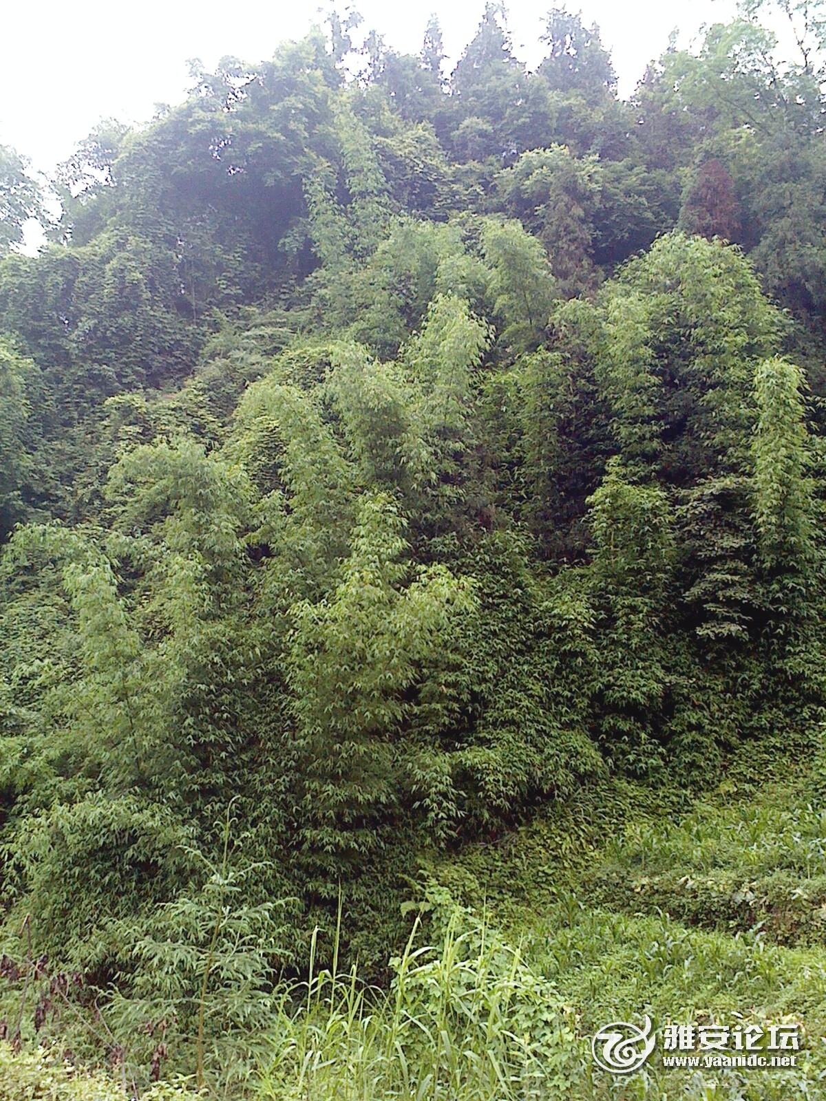 IMG0623105700.jpg