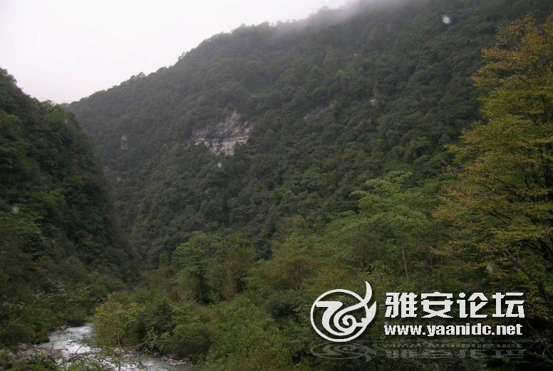 wangzhugan