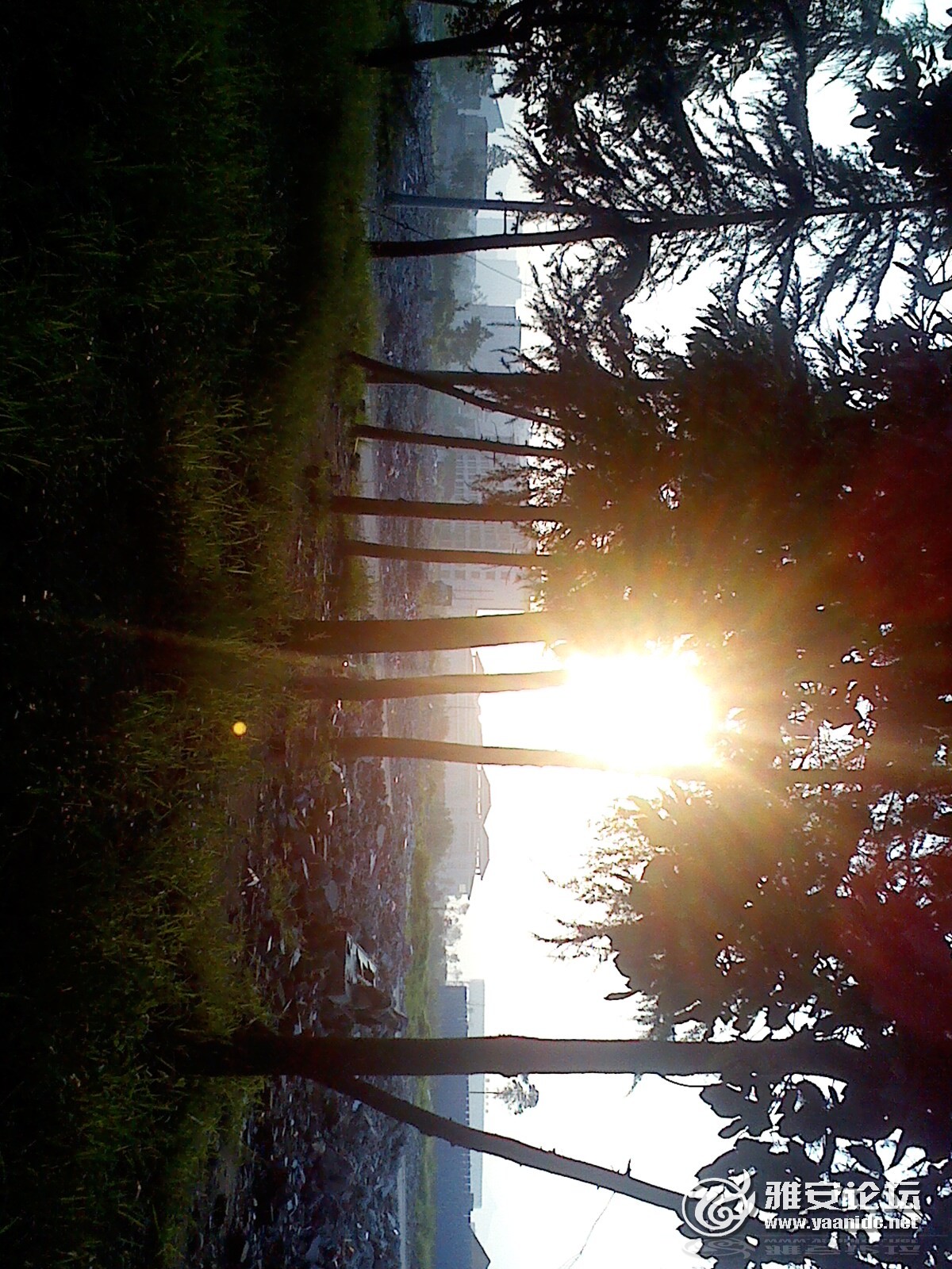 IMG0809071602.jpg