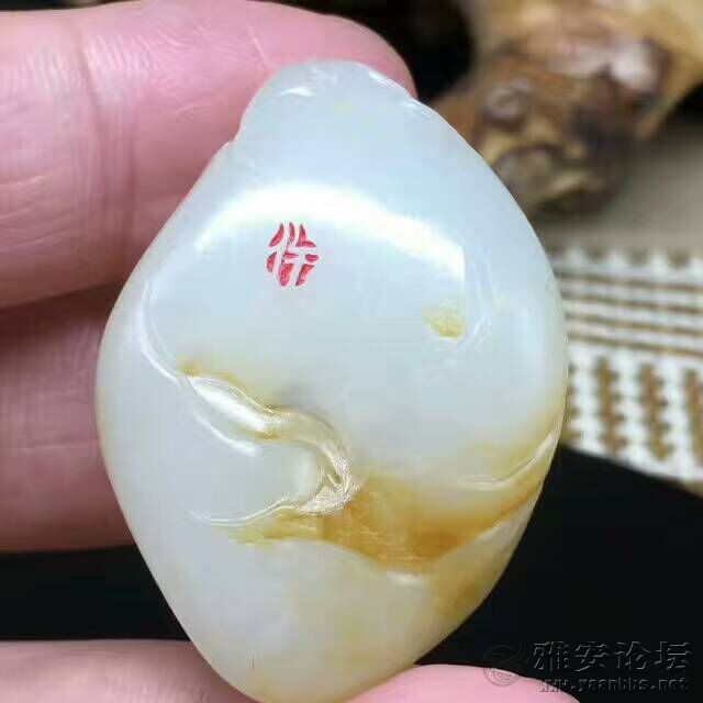QQͼƬ20170331085552.jpg