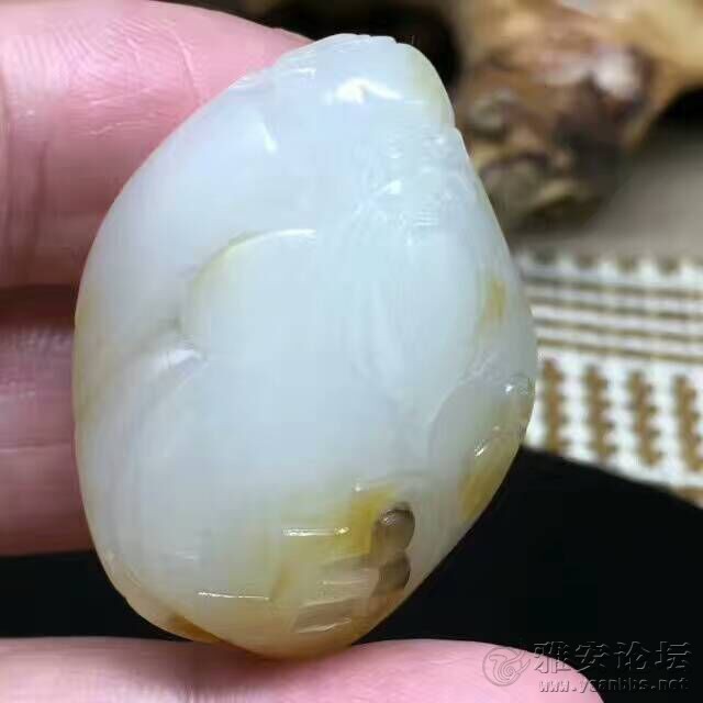 QQͼƬ20170331085556.jpg
