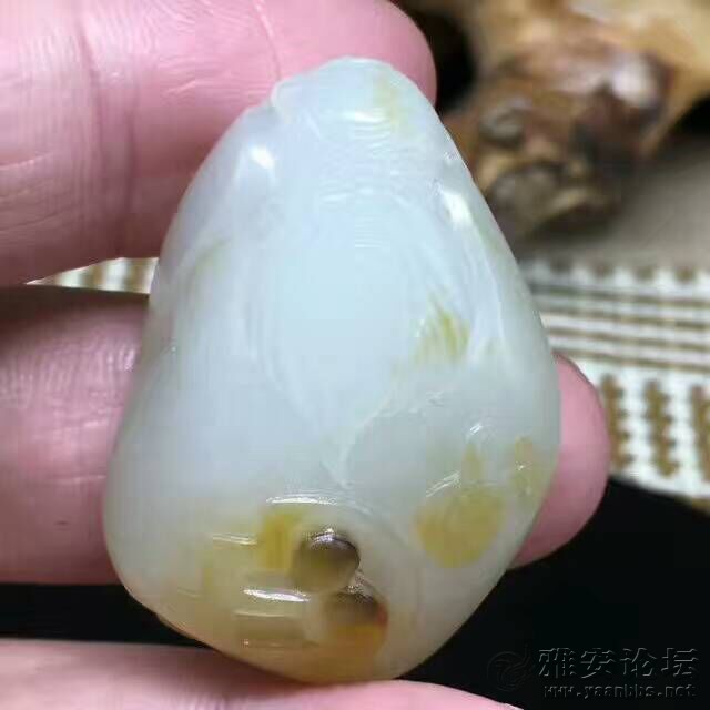 QQͼƬ20170331085607.jpg