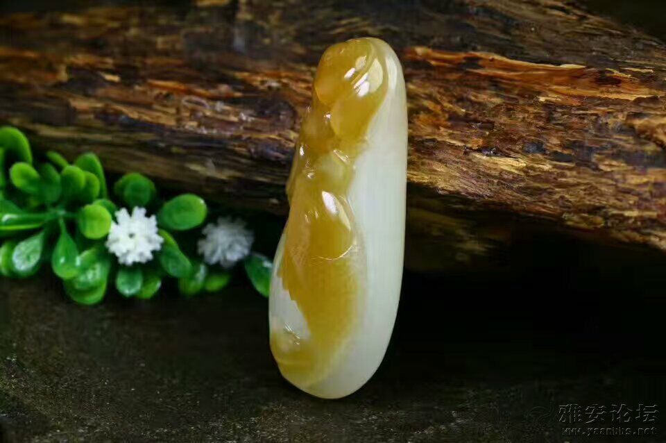 QQͼƬ20170417085247.jpg