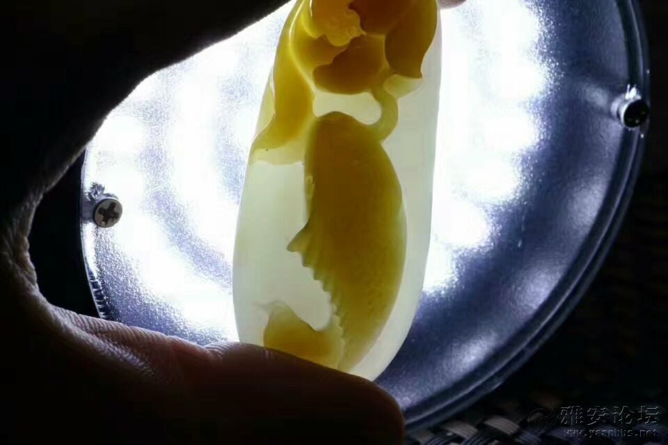 QQͼƬ20170417085256.jpg