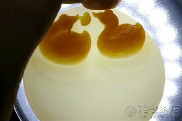 QQͼƬ20170419182644.jpg