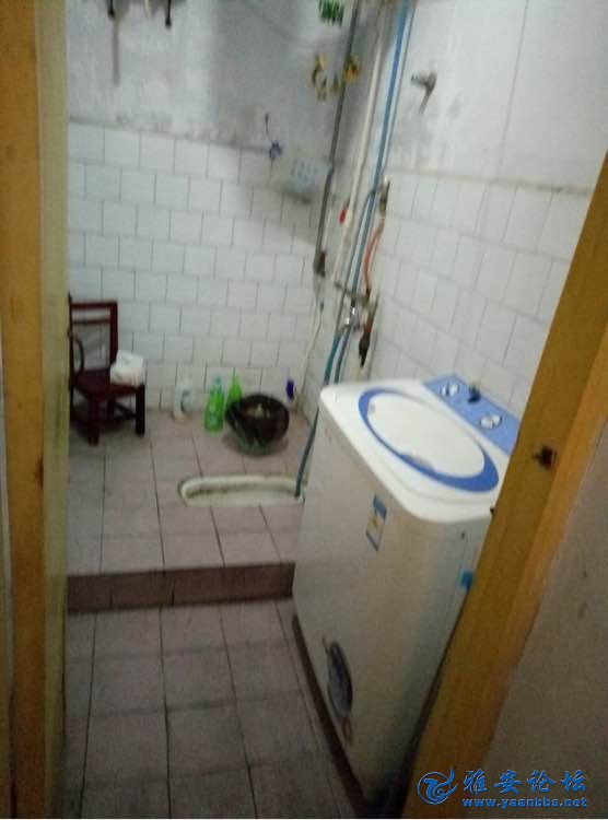 01.jpg