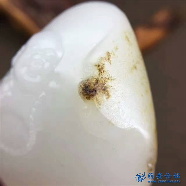 QQͼƬ20170624172619.jpg