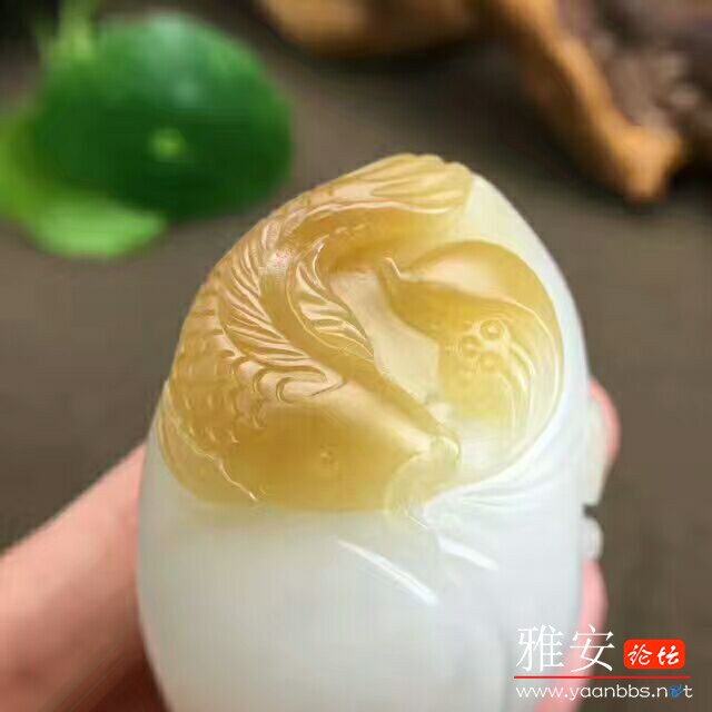 QQͼƬ20170724085608.jpg