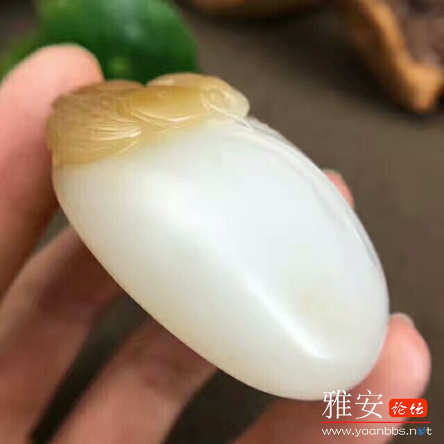 QQͼƬ20170724085605.jpg