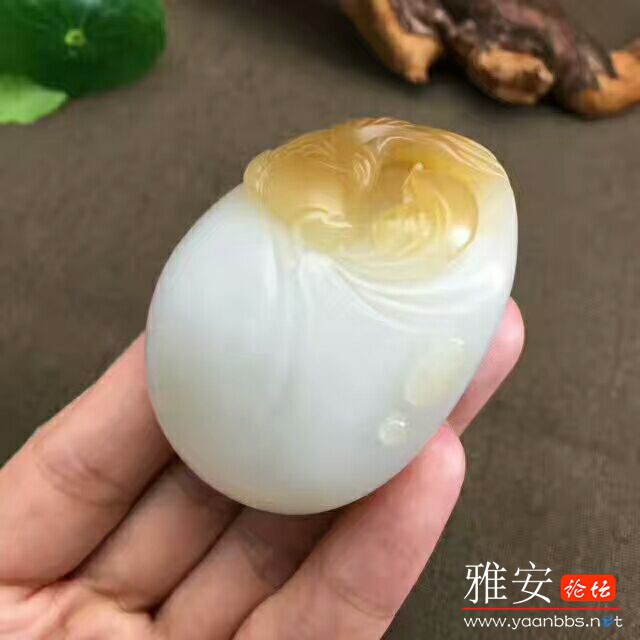 QQͼƬ20170724085611.jpg