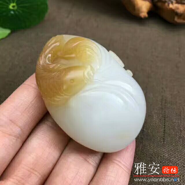 QQͼƬ20170724085613.jpg