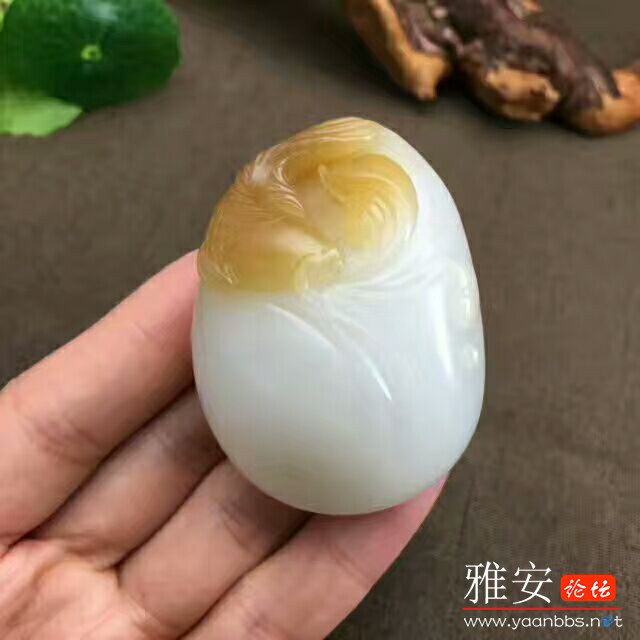 QQͼƬ20170724085616.jpg
