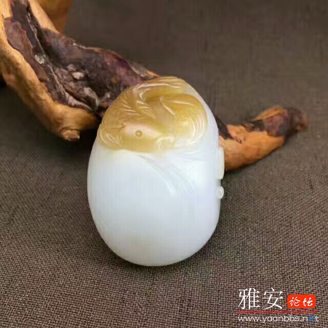 QQͼƬ20170724085618.jpg