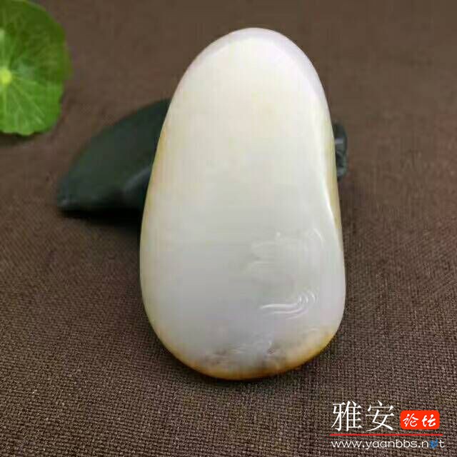 QQͼƬ20170731163211.jpg
