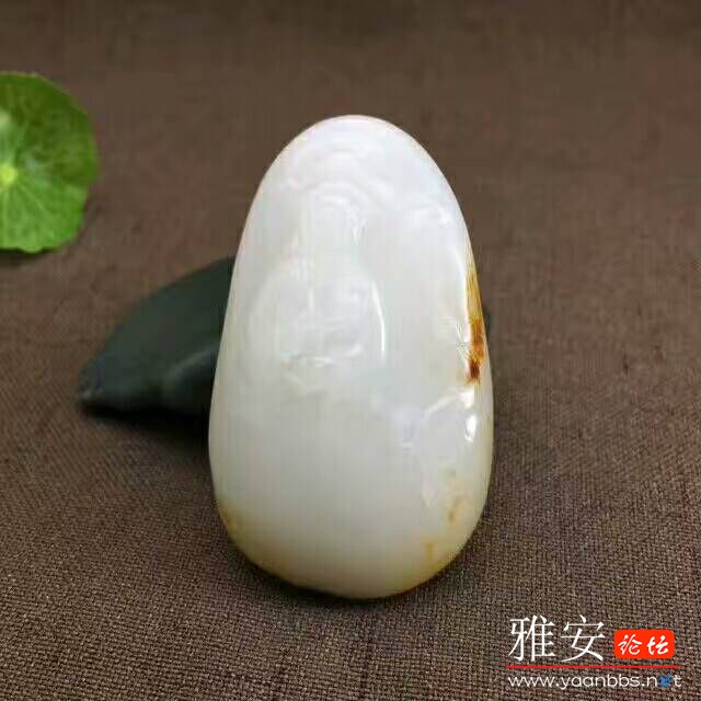 QQͼƬ20170731163203.jpg