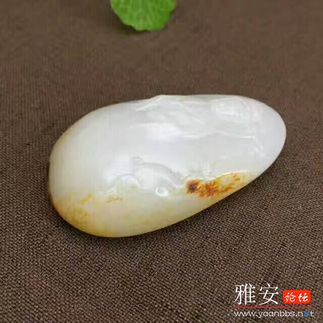 QQͼƬ20170731163216.jpg