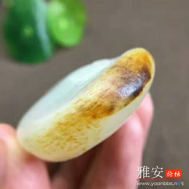 QQͼƬ20170731163219.jpg