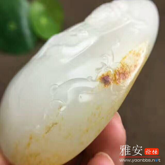 QQͼƬ20170731163221.jpg