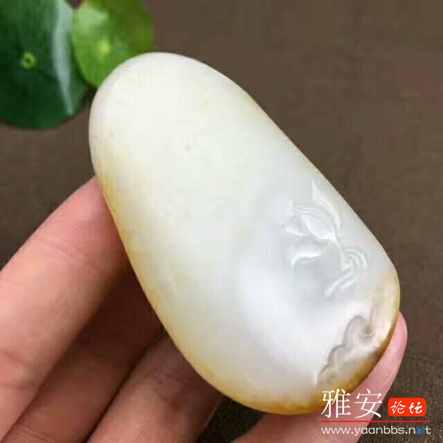 QQͼƬ20170731163226.jpg