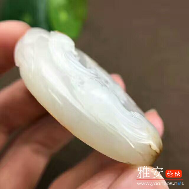 QQͼƬ20170807170433.jpg