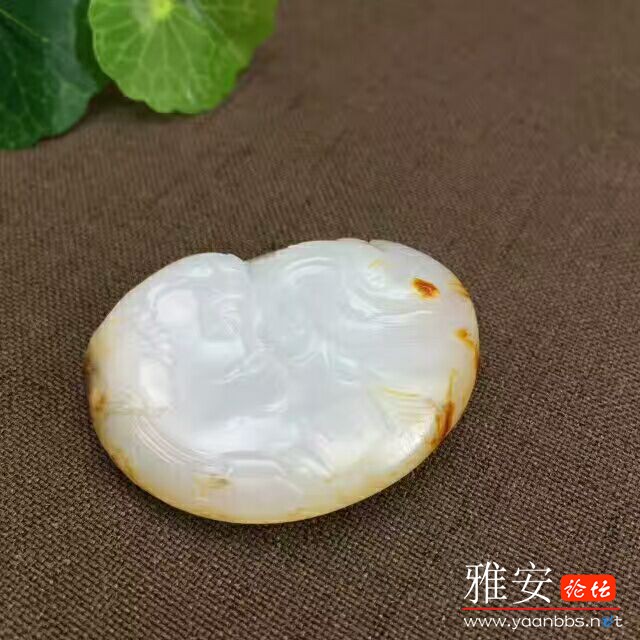 QQͼƬ20170807170441.jpg