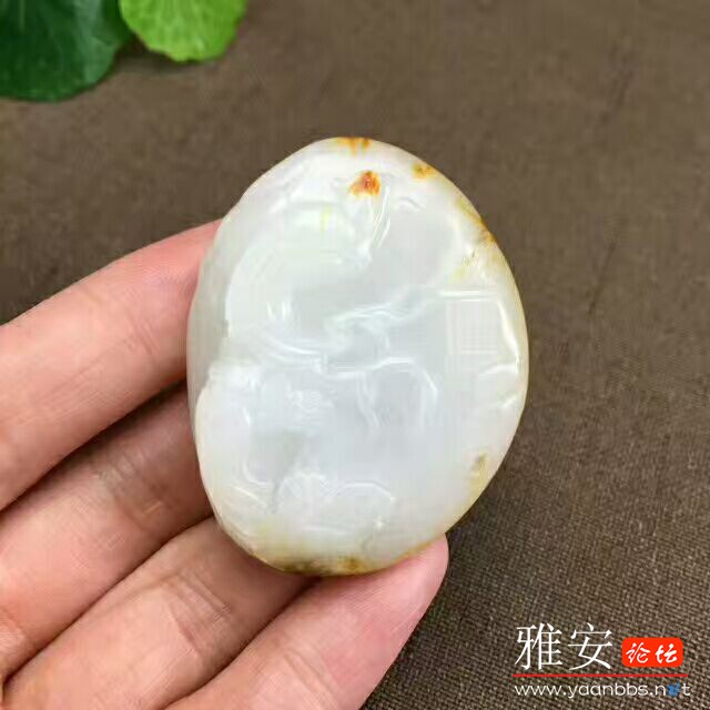 QQͼƬ20170807170438.jpg