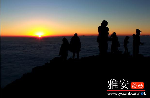 t0158c2a9154a8e457d.jpg
