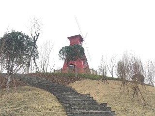 123.jpg