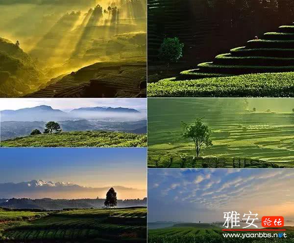 display_picture.php?url=http%3A%2F%2Fzxpic.imtt.qq.com%2Fzxpic_imtt%2F2018%2F03%2F26%2F1640%2Foriginalimage%2F164419_3623341626_3_600_497.jpg