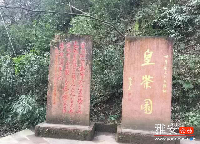 display_picture.php?url=http%3A%2F%2Fzxpic.imtt.qq.com%2Fzxpic_imtt%2F2018%2F03%2F26%2F1640%2Foriginalimage%2F164420_3623341626_7_640_461.jpg