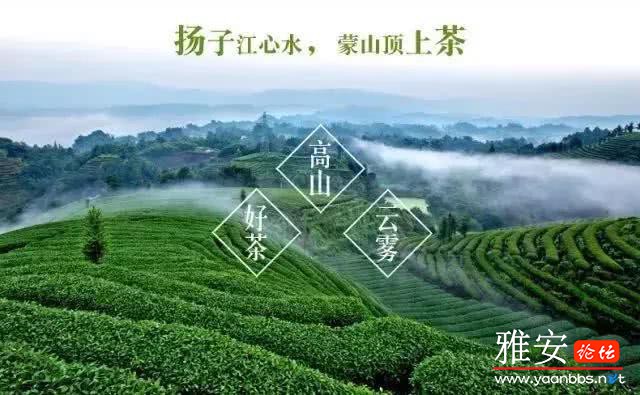 display_picture.php?url=http%3A%2F%2Fzxpic.imtt.qq.com%2Fzxpic_imtt%2F2018%2F03%2F26%2F1640%2Foriginalimage%2F164422_3623341626_20_640_395.jpg