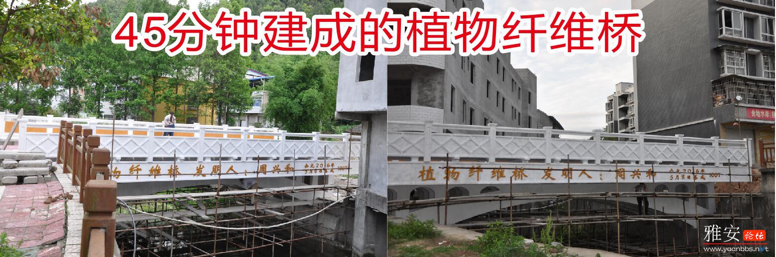4cba965634939cc8.jpg