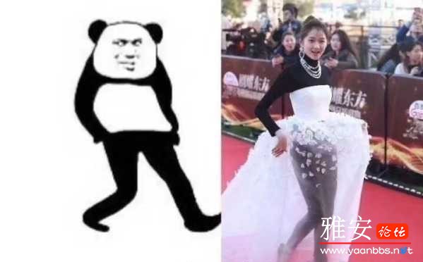 bd77bec3gy1fue3vq094cj20gn0acmye.jpg