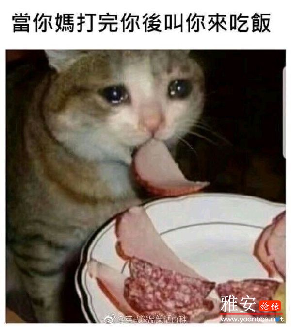c1c64f7dgy1fue54owlrhj20hs0jzjsk.jpg