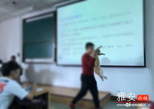 cc6a30e8gy1fungmnec6tj20j60dkq3y.jpg