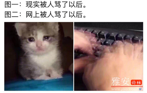 b64f1097gy1fuoouzqgc0j20qo0gygry.jpg