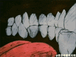006wUWIjgy1fuon2kc4y1g30460347wh.jpg