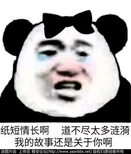 sapGTwfvOeOIiKfu.jpg
