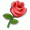 iZv00QG0Tf87nn09.jpg