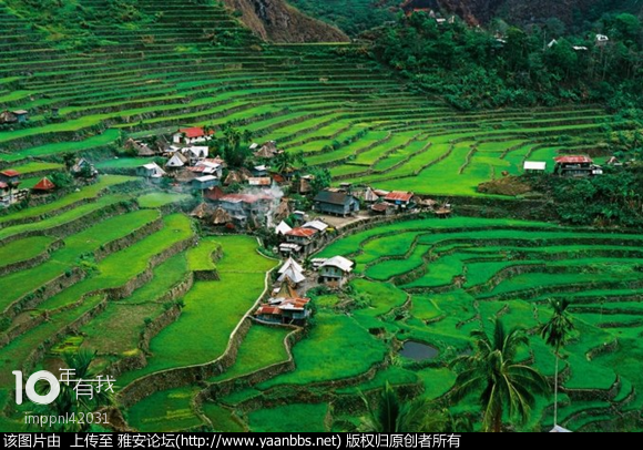 KL027UyiDM2U5e50.jpg