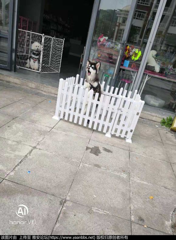 AwCdCcpzHccCFHrw.jpg