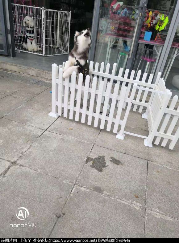 cZDLnXbWHnXHDDXN.jpg