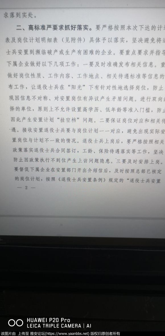 Yl9NFP95wl88G536.jpg