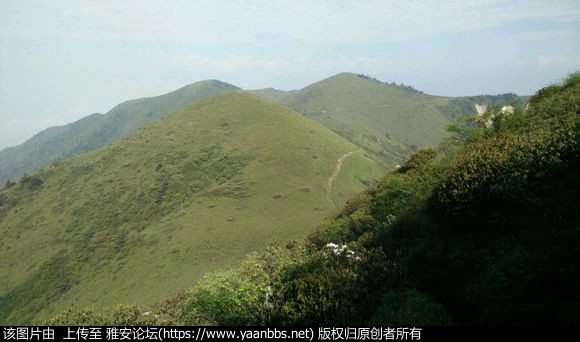 nz5X3Oa856aF5A5R.jpg
