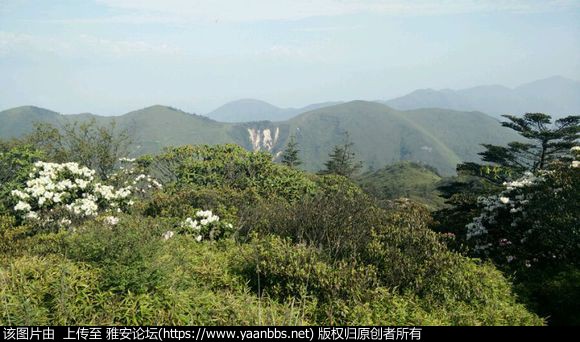 s48NZnv229V49OZo.jpg