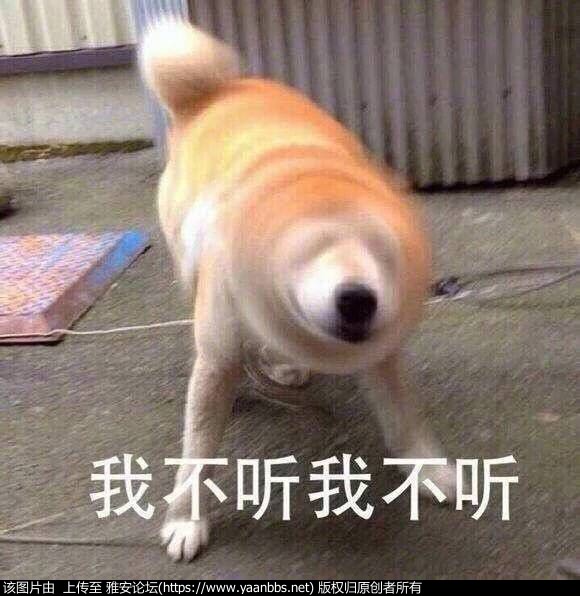 NuSmMf7Y3GI5GKGi.jpg