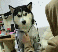 UGE8TFErtw8WEEwW.jpg