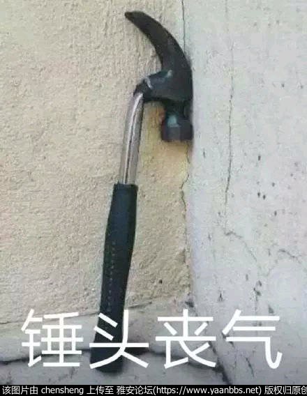 UJH7eBMwbejEh7Jn.jpg
