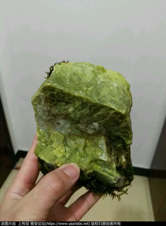 YJKzJ5H4vPX7kf37.jpg