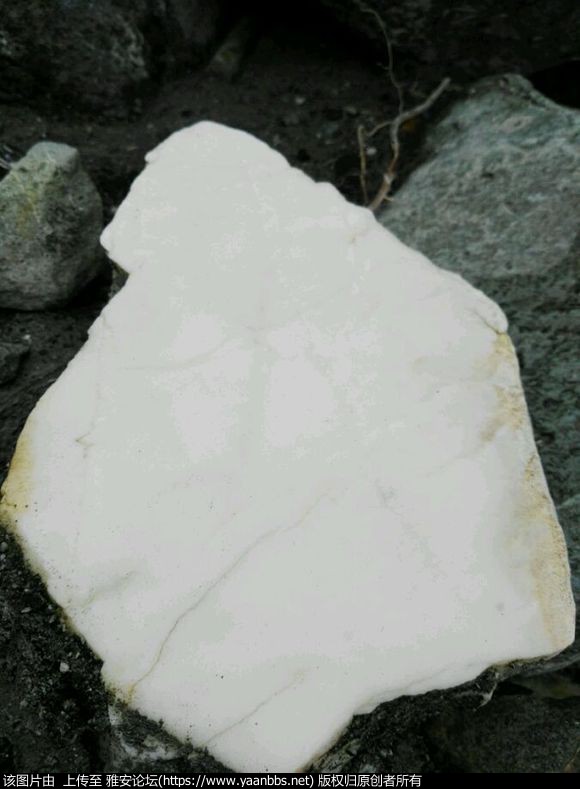 kRDIR0lx5ML5jkTl.jpg